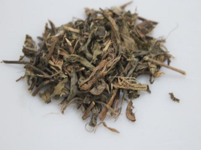 白马骨的功效与作用