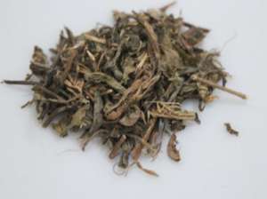 白马骨的功效与作用