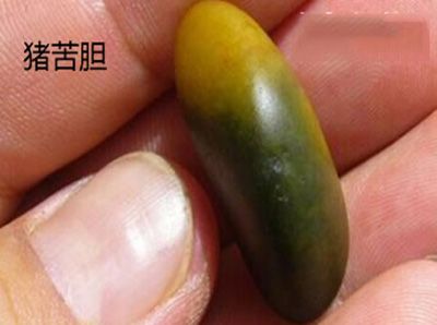 助力十二五中医药发展