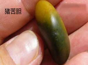 助力十二五中医药发展