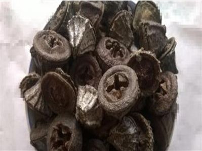 菖蒲叶的功效与作用