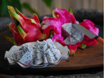 温家宝亲临中医药展区参观