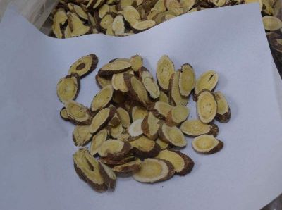 世界中联成立自然疗法研究专委会